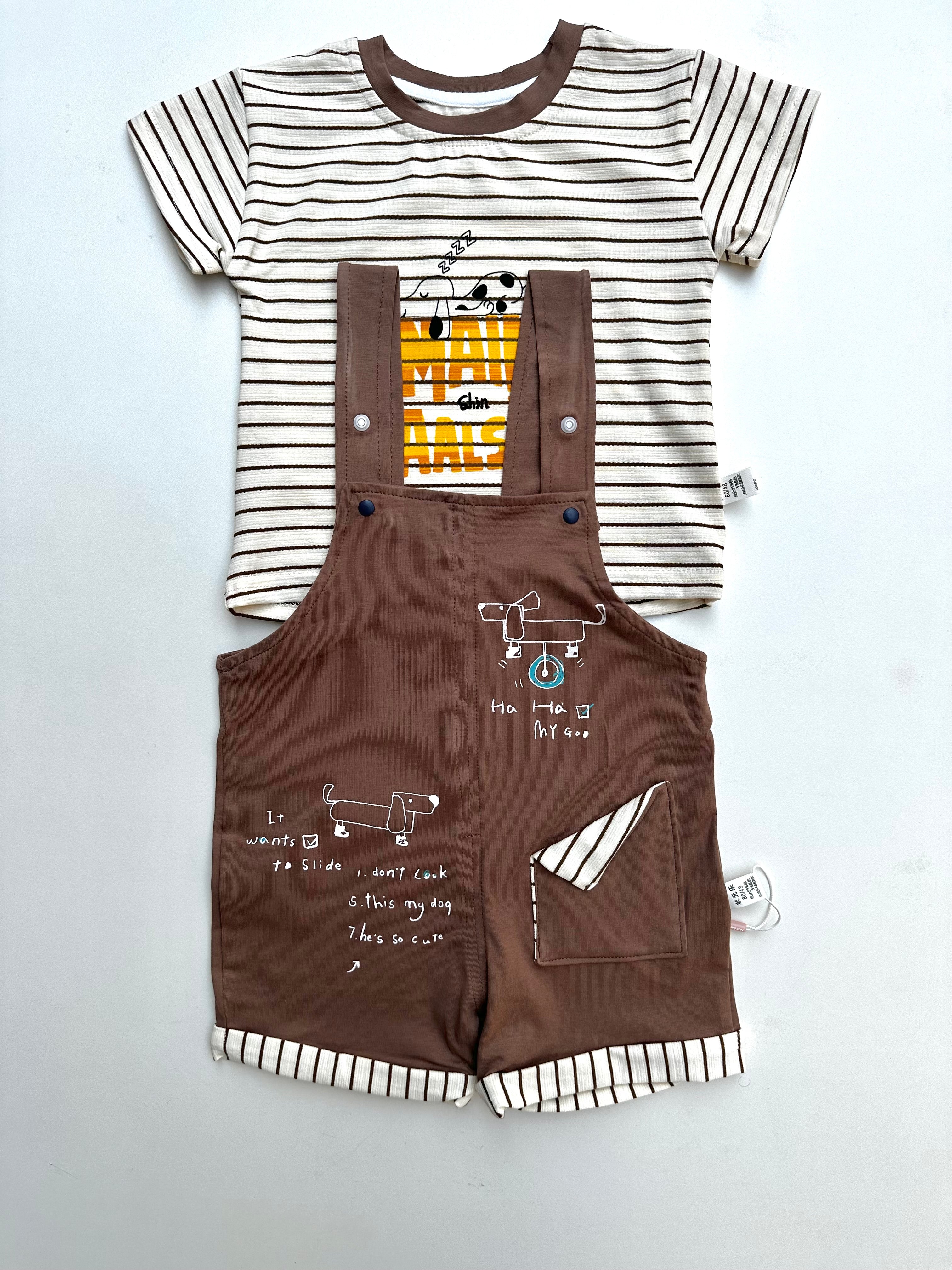 Dungaree & T-shirt (summer)